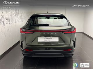 Lexus NX350h PREMIUM 2024 REF 2019