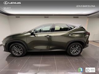 Lexus NX350h PREMIUM 2024 REF 2019