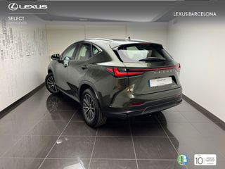 Lexus NX350h PREMIUM 2024 REF 2019