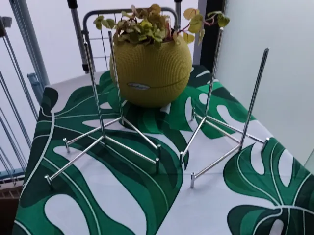 Set 4 Sujeta Platos Plateados