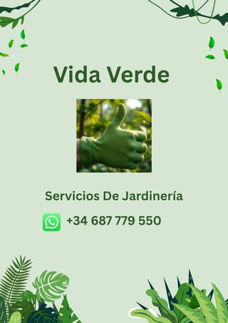 Vida Verde Servicios de Jardinería