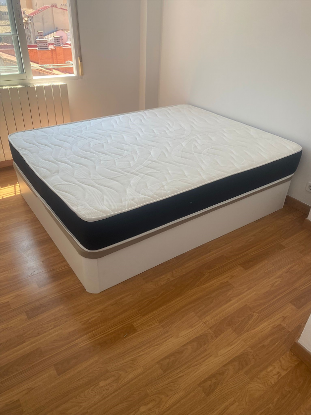 Canapés novos em todas as medidas