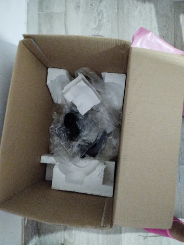 Aspiradora Conga Rockstar