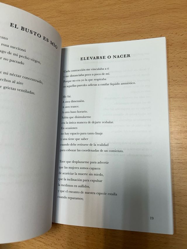 Lo que todas callan: Maternidad y posparto en v...