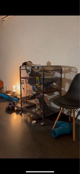 Jaula para roedores negra y roja