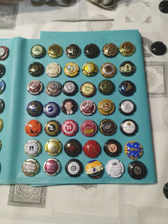 Lotto numero 24: 84 bottiglie di spumante