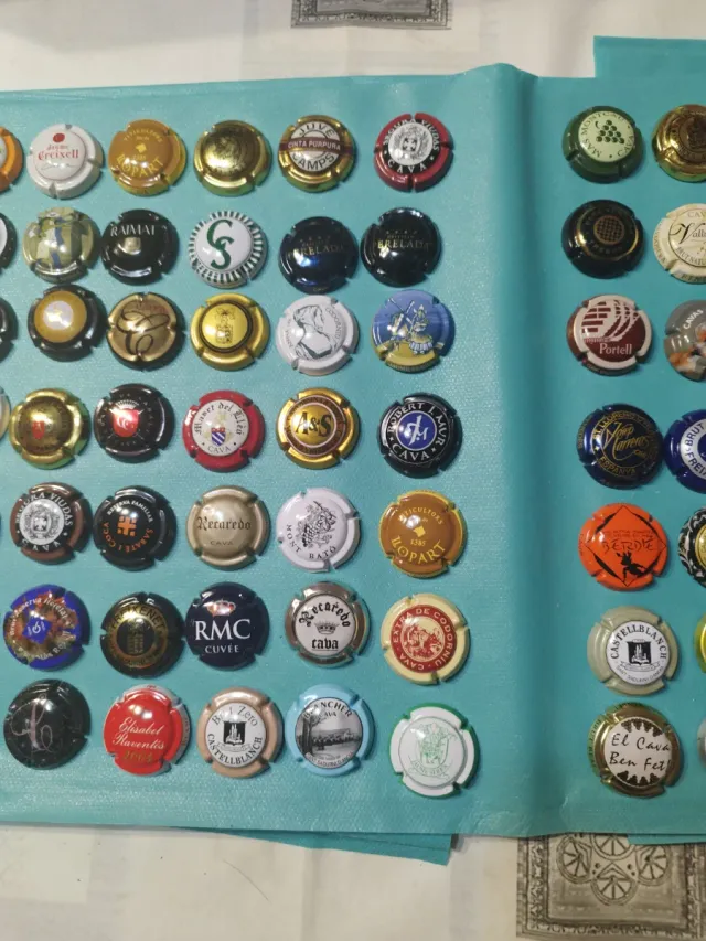 Lotto numero 24: 84 bottiglie di spumante