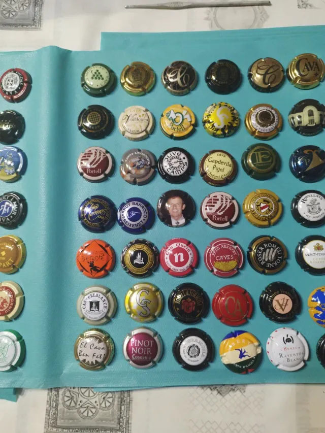 Lotto numero 24: 84 bottiglie di spumante