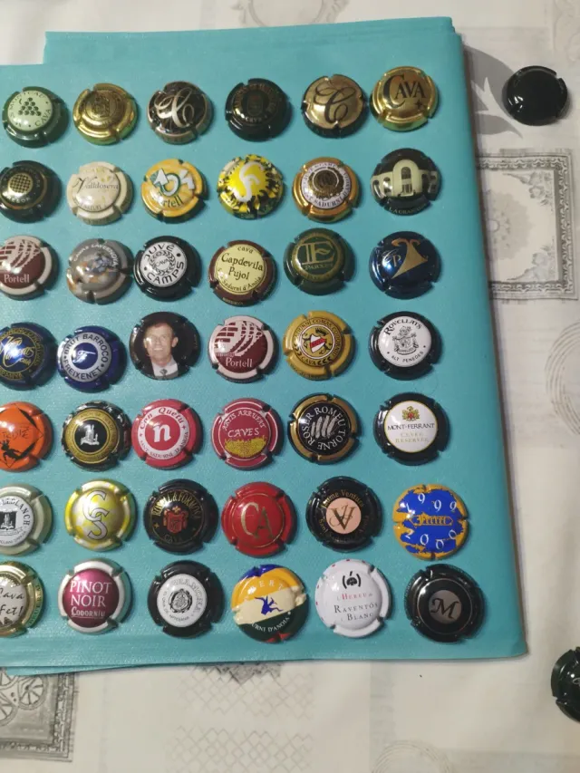 Lotto numero 24: 84 bottiglie di spumante