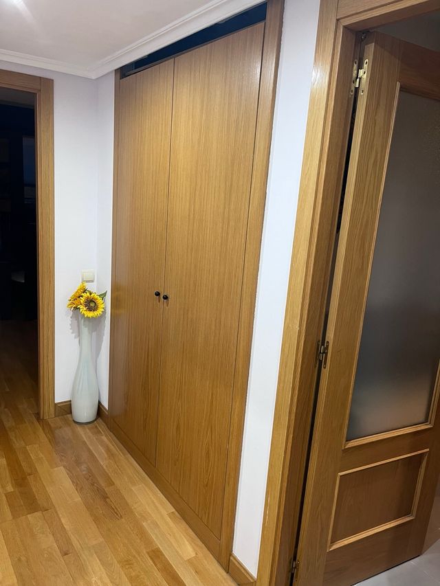 Puertas de armario de madera