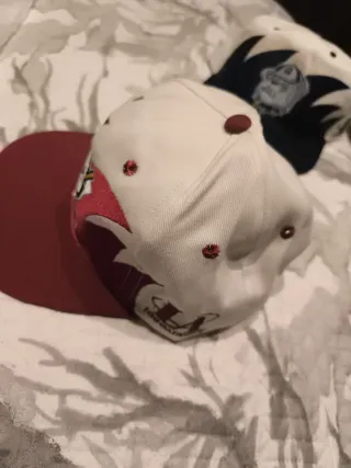 Gorra vintage Anaheim Ducks