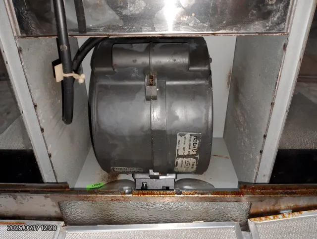 Campana Extractora Cata Cocina Acero Inoxidable