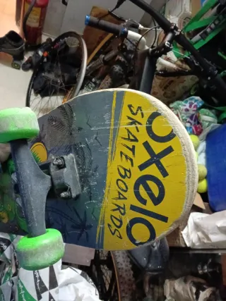 Skate OCELO
