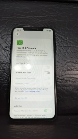 iPhone 11 Pro Max 256GB