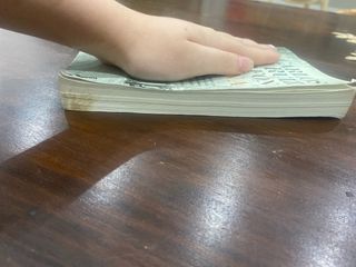 CARLOS RUIZ ZAFÓN MARINA