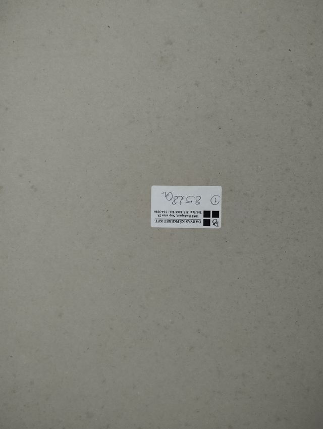 Cuadro de tigre enmarcado