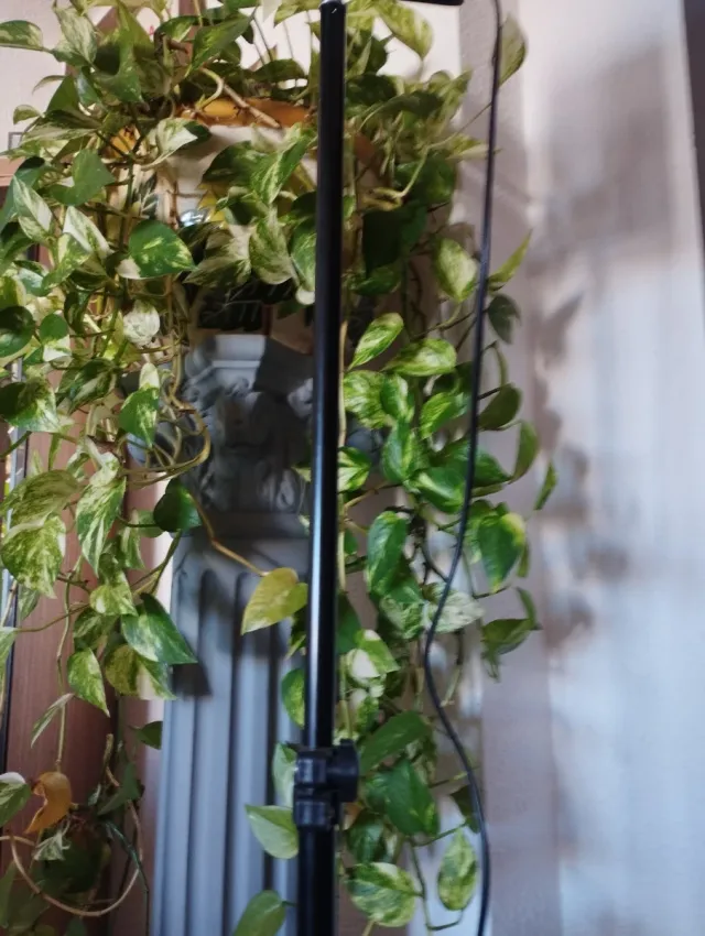 Lámpara de pie LED negra