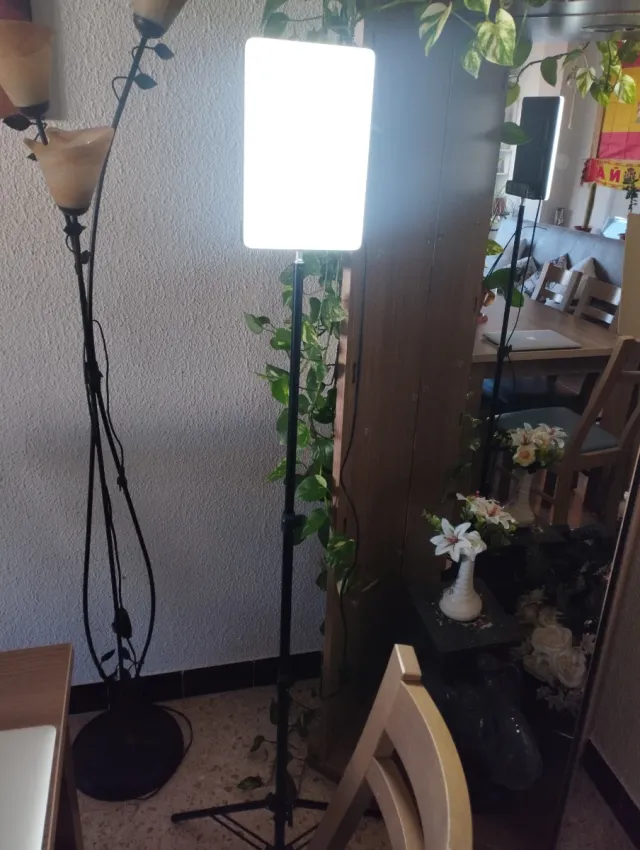 Lámpara de pie LED negra