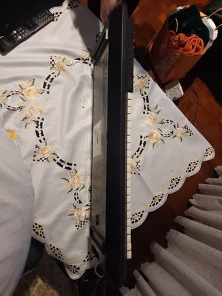 Órgano Electrónico Rogg Grabber E3751-81