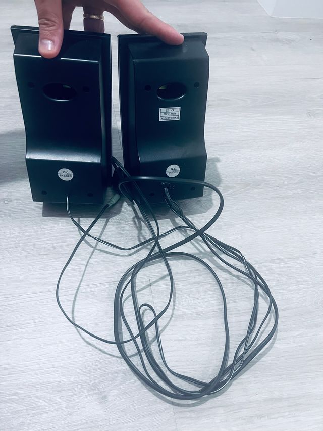 Altoparlanti Multimediali