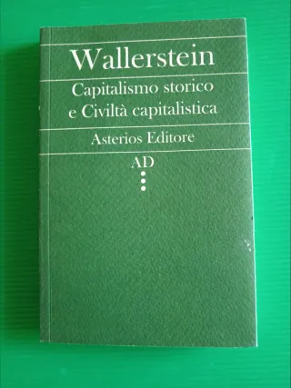 Capitalismo storico e società capitalistica