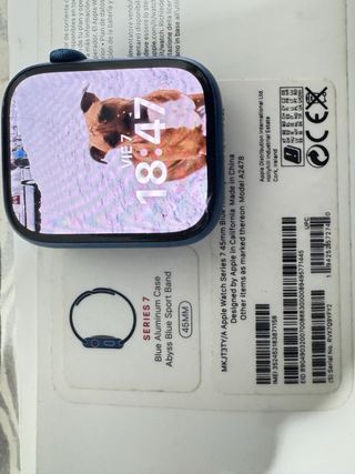 Apple Watch Series 7 45mm Azul