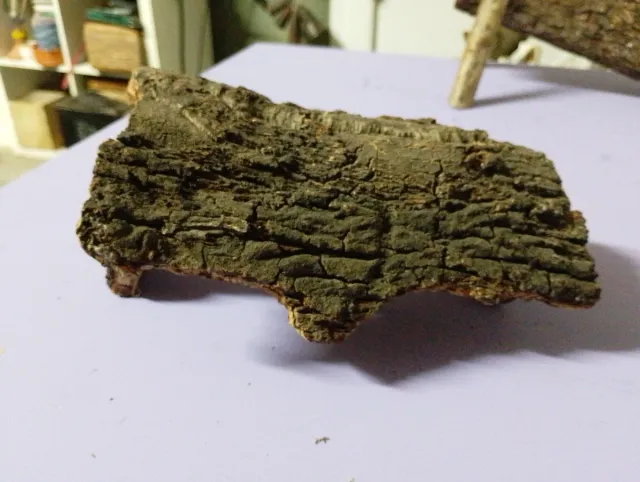 Cueva de Belén artesanal