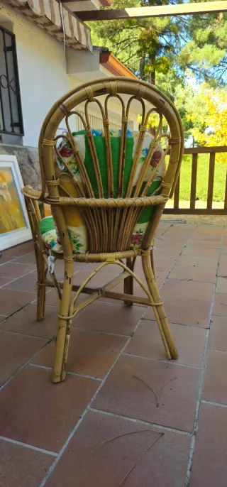 Silla de mimbre con cojin