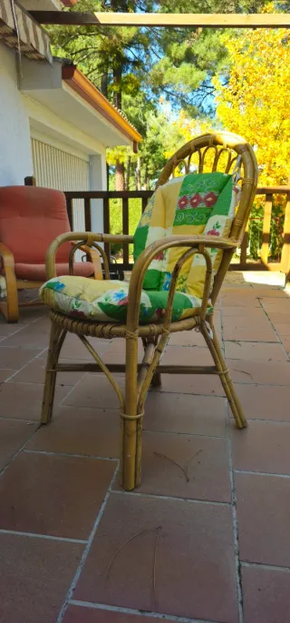 Silla de mimbre con cojin