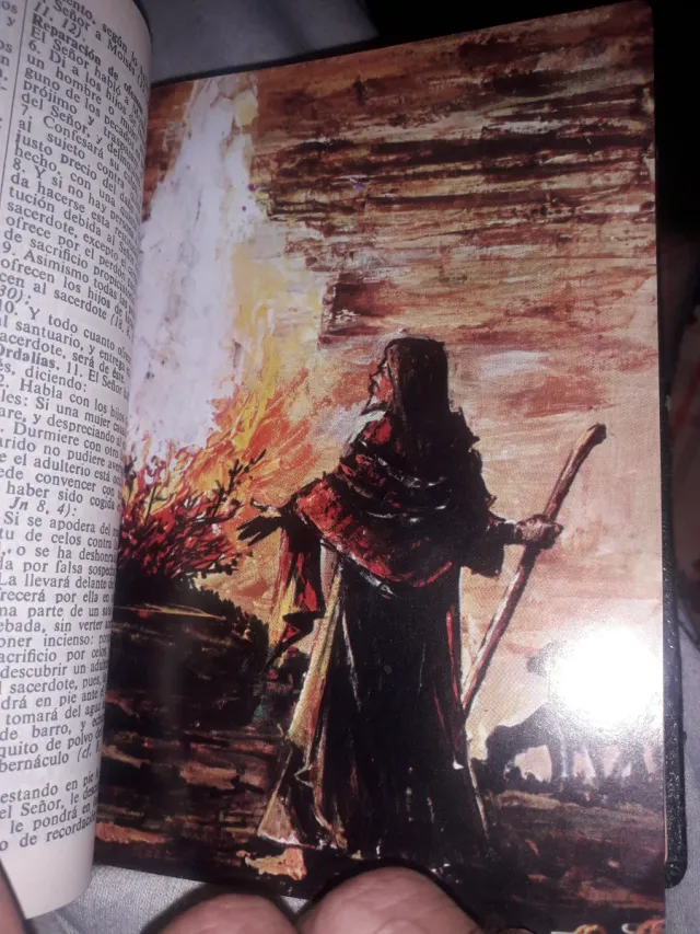 Sagrada Biblia Herder-Valles con ilustraciones1968