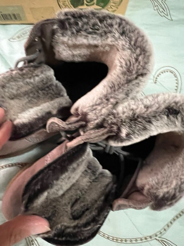 Botas Panama Jack Marrones Talla 38