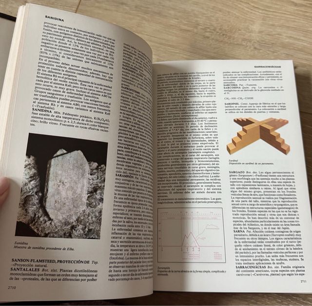 Hombre, Ciencia y Tecnología