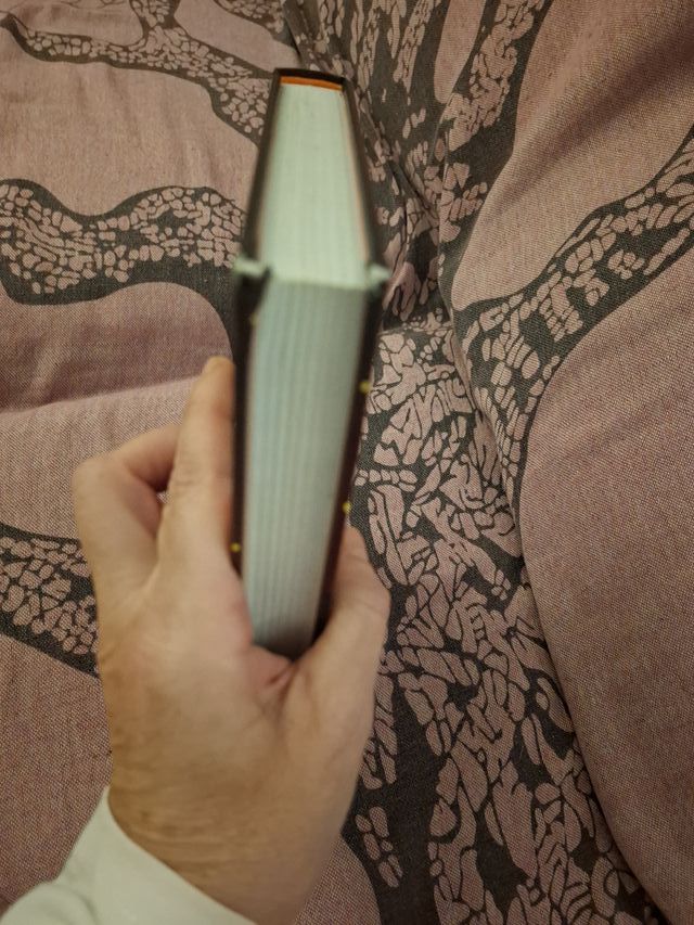 Policán 3: Historia de dos mininos