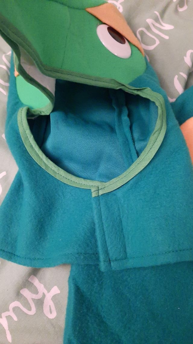 Disfraz Cocodrilo Niño