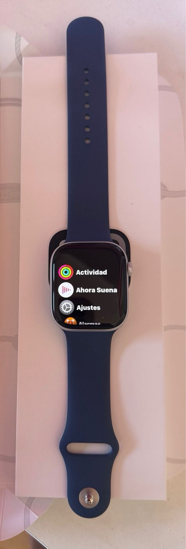 Apple Watch Serie 10 Gris 46mm