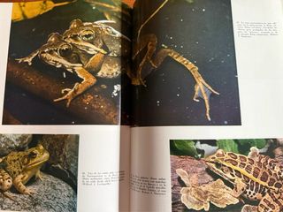 3 libros “El mundo de la naturaleza”