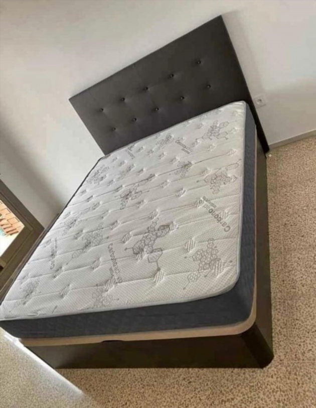 Canapé canapé canapé canapé canapé canapés