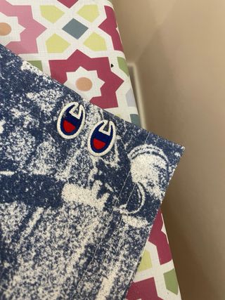 Camiseta Champion x Zara 