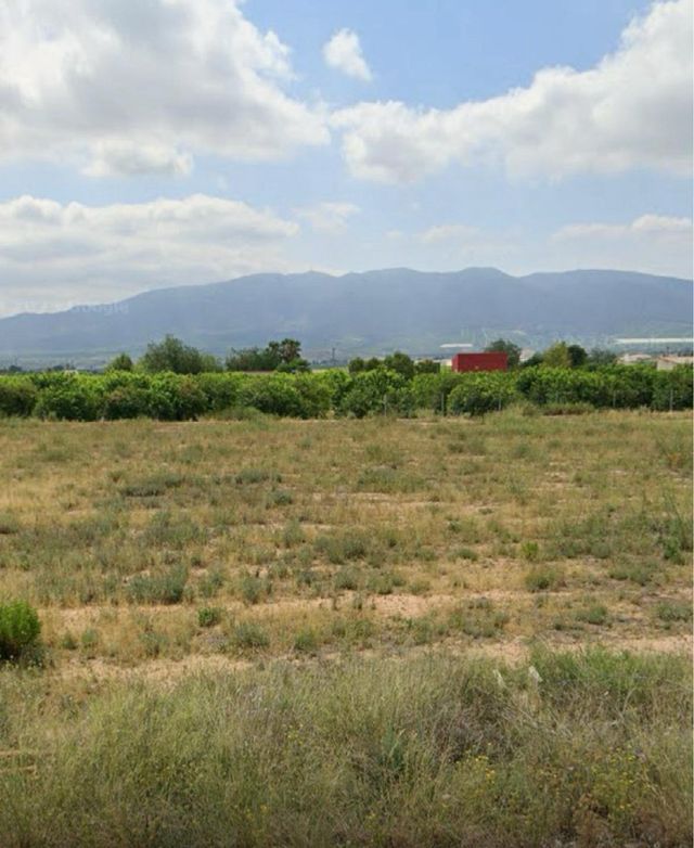 Parcela rústica con agua trasvase
