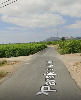 Parcela rústica con agua trasvase SE FINANCIA