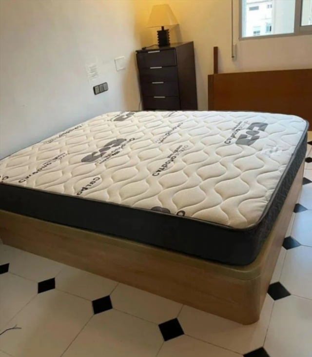 Canapé canapé canapé canapé canapé canapés