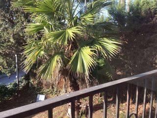 Oficina en alquiler en Valldoreix en Sant Cugat del Vallès