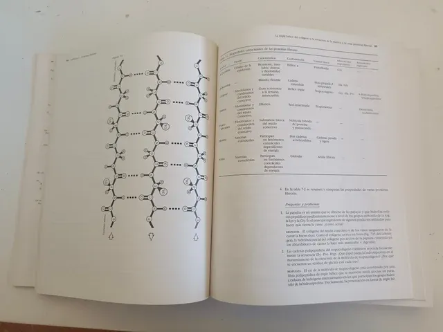 Guía de principios de bioquímica de Lehninger