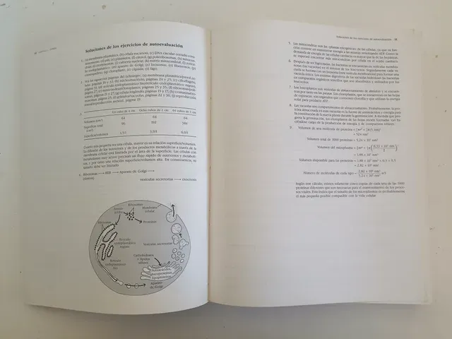 Guía de principios de bioquímica de Lehninger
