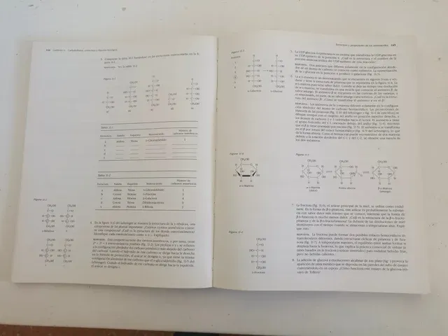 Guía de principios de bioquímica de Lehninger