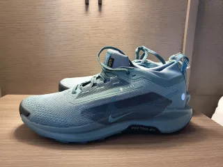 Nike Pegasus Trail 5 Gore-Tex Azul