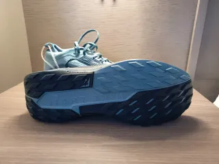 Nike Pegasus Trail 5 Gore-Tex Azul