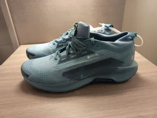 Nike Pegasus Trail 5 Gore-Tex Azul