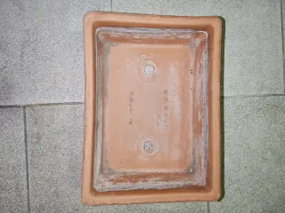 Vaso in terracotta per bonsai. 15 pezzi totali