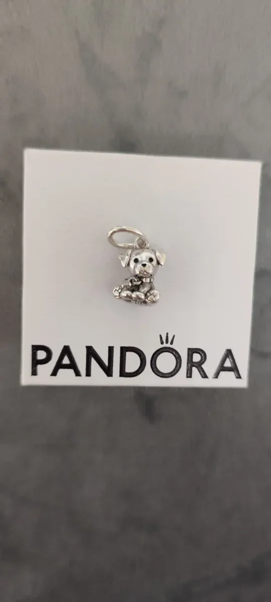 Charm Perrito Pandora Plata